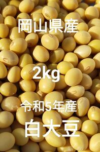 令和5年産 乾燥大豆 白大豆 2kg