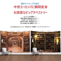 200cm×150cm ビッグ タペストリー 壁掛け 本棚 リアルプリント 布ポスター 図書館 おしゃれ 背景布 リアル 絵画 模様替え 目隠し520_画像3