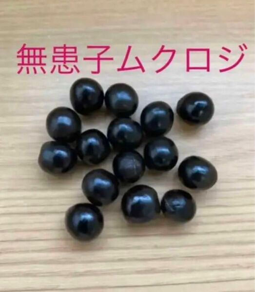 無患子 ムクロジ 皮なしの種子35粒