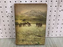 3-◇改訂版 愛馬讀本 読本 小津茂郎 昭和18年 7月10日 1943年 大日本雄辯會講談社 シミ汚れ・折れ破れ有 馬の生立 軍馬になる訓練 競馬_画像2