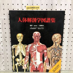 1▼ 人体解剖学図譜集 監訳 川原群大 アプライ 1998年 3月1日 第4刷 発行 平成10年