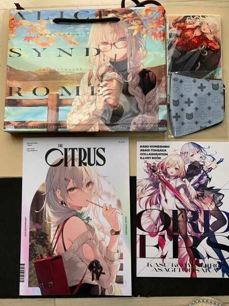 C99 AliceSyndrome 新刊セット＋合同誌 遠坂あさぎ