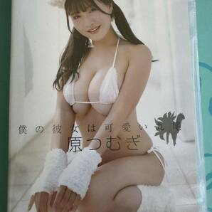 原つむぎ『僕の彼女は可愛い九尾』新品、未開封＋直筆サイン入りジャケットの画像2