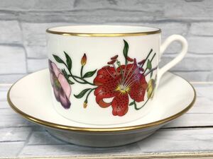  Italy made Gucci GUCCI Richard Ginori Richard Ginori cup & saucer used present condition goods 