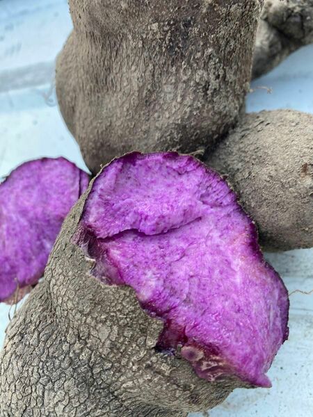 紫山芋３キロ