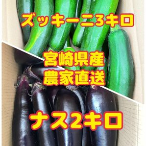 野菜詰め合わせ　なす　ズッキーニ　宮崎県産