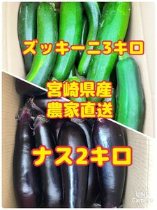 【さくら様専用】野菜詰め合わせ　なす　ズッキーニ　宮崎県産