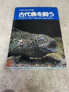  старый плата рыба ... тропическая рыба разведение иллюстрированная книга 1 внутри гора ... маленький храм весна человек морской план 2002 год выпуск 