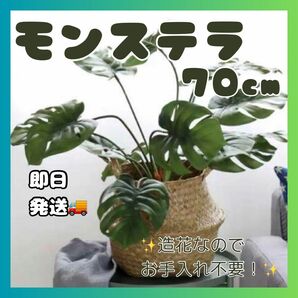 モンステラ フェイクグリーン 70cm 1本 観葉植物 インテリア 造花 多肉 おしゃれ 置物 緑 新品 ワイヤー 角度調整可