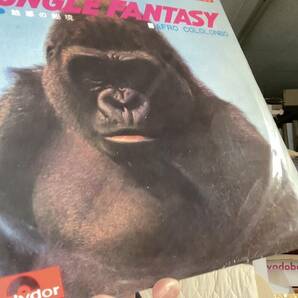 Afro Cololonbo = アフロ・コロロンボ* Jungle Fantasy (魅惑の秘境) Polydor SLJM-1080 Vinyl, LP, Album, Stereo Japanの画像1