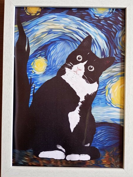 【インテリアポスター】フレーム付/キャンバスアート《癒やしのインテリア》A4ポスター　星月夜×黒猫B 現代アート インテリア アート