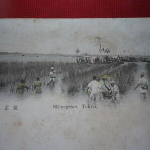 戦前 絵葉書 手採色 東京品川 はがき 郵趣 史料 ポストカードの画像3