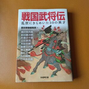 戦国武将伝　乱世にきらめいた３０の異才 （学研Ｍ文庫　れ－１－４） 歴史群像編集部／編