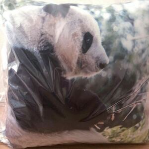 * new goods unused unopened *.. zoo 70th cushion accepting an order sale goods Panda. Tintin 