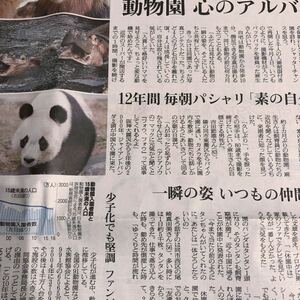 2020 王子動物園特集記事　パンダのタンタンとファンと仲間たち