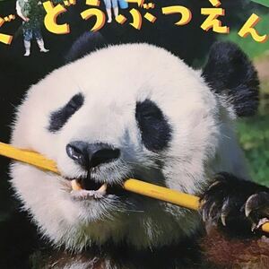 王子動物園　タンタン表紙　教材中古本