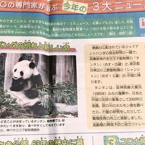 2020 動物園編 今年の3大ニュース 1位 パンダの別れと新しい命 シャンシャン タンタン中国返還 アドベンチャーワールド 楓浜誕生の画像1