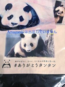 王子動物園　イベントクリアファイル☆受注販売終了☆バイカラートートバッグ　ありがとうタンタン♪ フライヤー