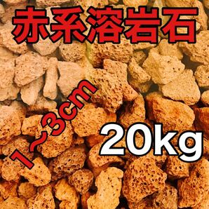 中国産 溶岩石 レッドロック20kg アクアリウム低床 ろ材 観葉植物 多肉植物