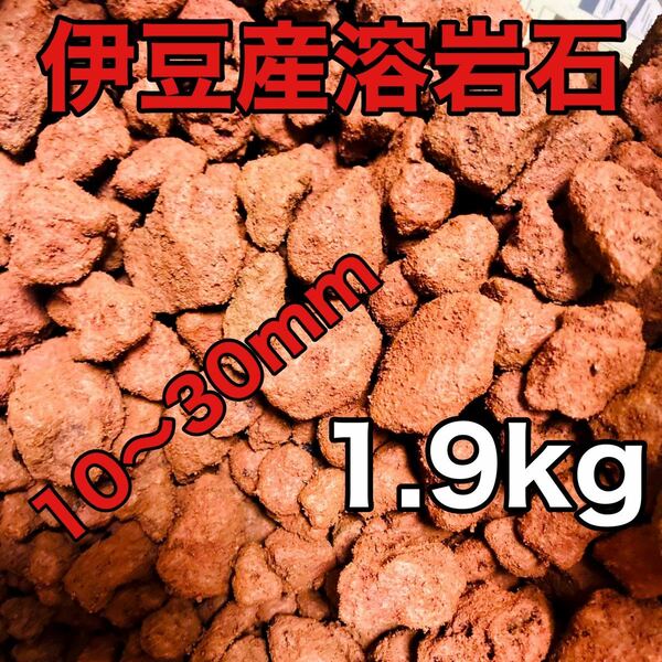 伊豆産 赤色溶岩石 レッドロック スコリア 10〜30mm 1.9kg