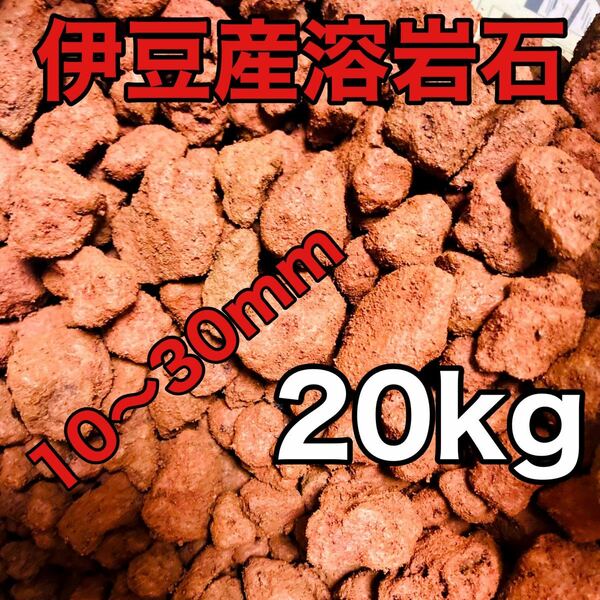 伊豆産 赤色溶岩石 レッドロック スコリア 10〜30mm 20kg