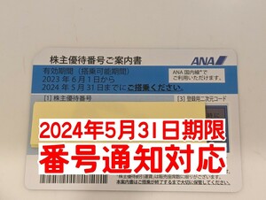 【即決・番号通知】ANA 全日空 株主優待券 1枚 有効期限2024年5月31日【クレカ・PayPay】