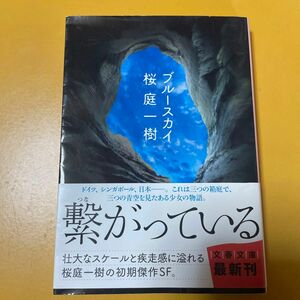 ブルースカイ （文春文庫　さ５０－５） 桜庭一樹／著