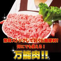 国産豚挽き肉ひき肉500ｇ冷凍 　赤身多め 訳なし_画像2