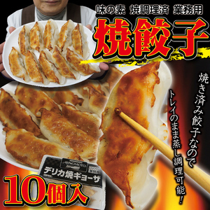  Delica .gyo- The (. cooking settled )24g×10 piece insertion Ajinomoto business use tray entering . cooking . easy [ gyoza ][....]