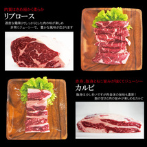 送料無料 ギフト 贈答品 牛肉焼肉カルビ食べ比べ4点盛り合わせ500ｇ冷凍 2セット同時購入で肉500ｇ増量中_画像8