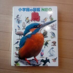 小学館の図鑑NEO　鳥　カバー無し　一部薄くなってます。