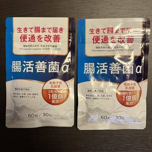 2袋60日分　腸活善菌α 乳酸菌 ダイエットサプリ ビフィズス菌 機能性表示食品