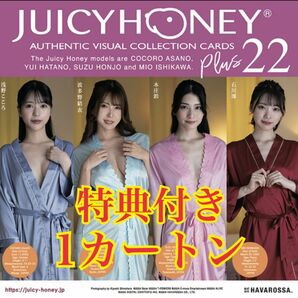 【特典付き】AVC ジューシーハニー PLUS #22 新品未開封　1カートン　浅野こころ　波多野結衣　本庄鈴　石川澪