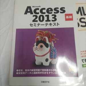 Ｍｉｃｒｏｓｏｆｔ　Ａｃｃｅｓｓ　２０１３　基礎 （セミナーテキスト） 日経ＢＰ社／著・制作