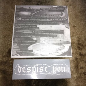 DESPISE YOU All Your Majestic Bullshit 限定EP ダンボールスリーブ ステッカー付き powerviolence crossed out spazz no commentの画像3