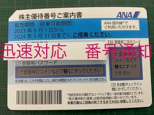 ANA全日空 株主優待券1枚　2024/5/31期限　番号通知のみ 