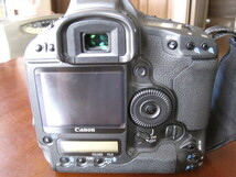 Canon EOS-1D MarkⅢ_画像3