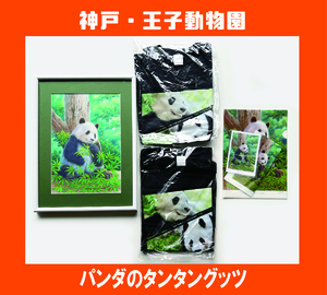 【未使用品】神戸　王子動物園　パンダのタンタン　限定グッツ　
