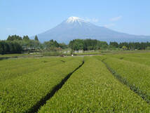 大特価!!値下げ中～②大人気!大特価!美味しい静岡一番茶/さやまかおり300g　送料無料 _画像3