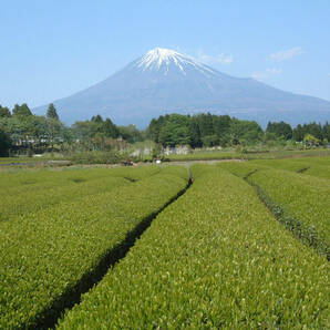 ③100円～今期最終大特価!!大人気/厳選された極旨茶/静岡特上煎茶300ｇ 贈り物にも 送料無料サービス の画像3