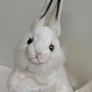 $ HANSA ハンサ PORTRAITS OF NATURE シロウサギ 茶色 ウサギ コレクション品の画像2