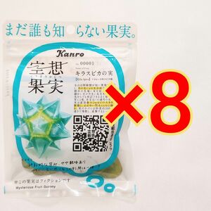 空想果実 キラスピカの実 42g×8袋