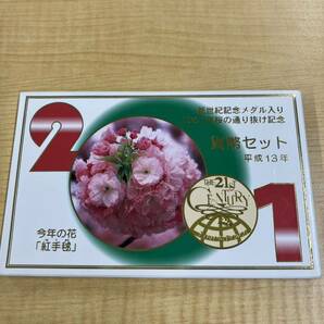 d4d280桜の通り抜け貨幣セット ミントセット 記念硬貨 今年の花 貨幣セット 造幣局 紅手鞠 平成13年 2001年の画像1