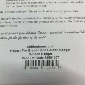 Whiting Hebert Pro Rooster Cape Golden Badger ホワイティング ヒーバート ルースター ケープ プロ ゴールデン バジャーの画像5