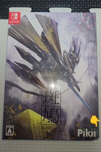 【新品】Nintendo Switch 斑鳩 IKARUGA 再販版 ※箱凹み有り