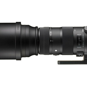 【2日間から~レンタル】SIGMA 150-600mm F5-6.3 DG OS HSM Sports 望遠レンズCanon一眼レフ用 EFマウント【管理CL19】の画像1