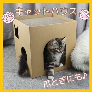 キャットハウス　ダンボール　猫　爪とぎ　爪研ぎ　組み立て　ベッド　遊び場　簡単