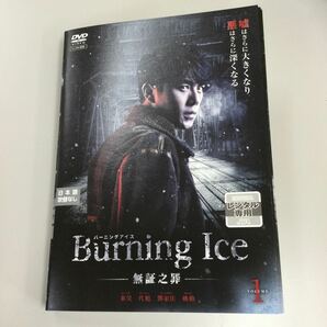 0411 アジア バーニングアイス 全6巻 レンタル落ち DVD 中古品 ケースなし ジャケット付きの画像1