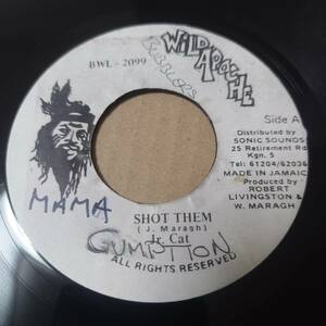 Junior Cat - Shot Them / Wild Apache 7inch