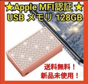 Apple MFI認証 USBメモリ iPad MacBook PC 128GB(ゴールド)